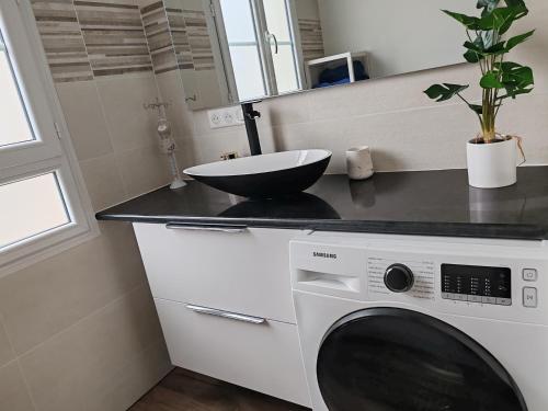 une cuisine avec une machine à laver et un évier dans l'établissement VIC SAINT CRISTOPHE, à Vic-sur-Aisne