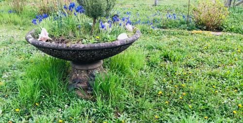 a bird bath in the middle of a field of flowers at Ferienwohnung Feldmann in Freckenfeld