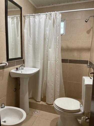 uma casa de banho com um WC, um lavatório e um chuveiro em Habitación céntrica calafate viejo hostel em El Calafate