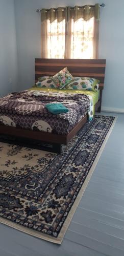 a bedroom with a bed on a rug with a window at Lovely 2 bedroom vacation home with free parking. in Georgetown