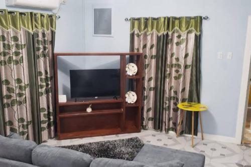 ein Wohnzimmer mit einem Sofa und einem TV in der Unterkunft Lovely 2 bedroom vacation home with free parking. in Georgetown