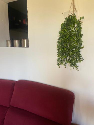 Fotografie z fotogalerie ubytování Apartamento Nora v destinaci Iznate