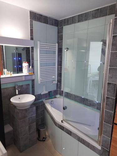 een badkamer met een glazen douche en een wastafel bij Appartement Hardelot plage in Neufchâtel-Hardelot