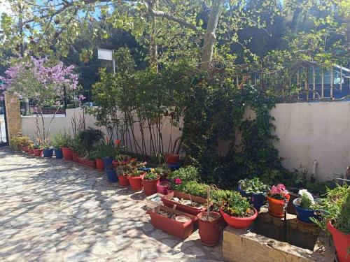 a row of potted plants in pots on a sidewalk at Niki's house 1 in Agia Triada