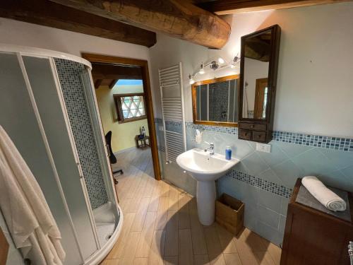 a bathroom with a sink and a shower at Agriturismo Podere le Tombe in Palaia