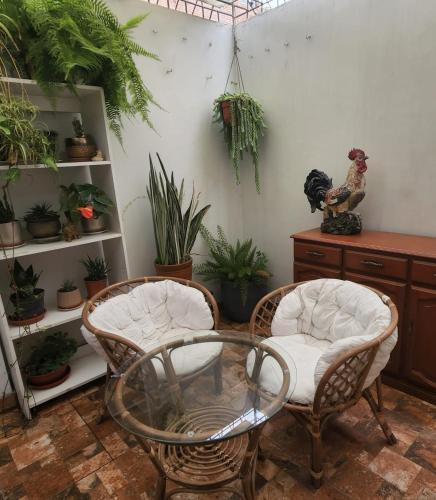 due sedie e un tavolo in vetro in una stanza con piante di CASA CULTURA a Lima