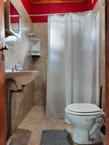 y baño con ducha, aseo y lavamanos. en Alojamiento Familiar Alternativo Daniel Oviedo en Puerto Iguazú