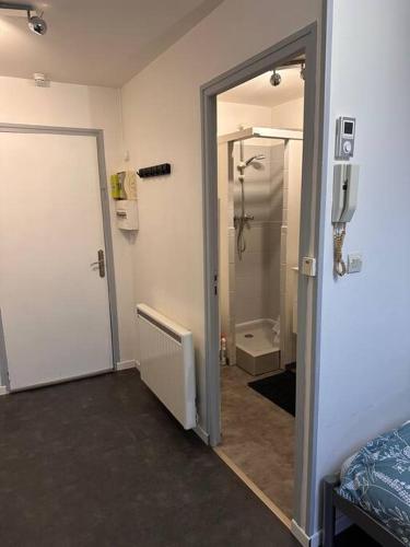 łazienka z prysznicem i drzwi do pokoju w obiekcie Studio Centre Ville w mieście Bar-le-Duc