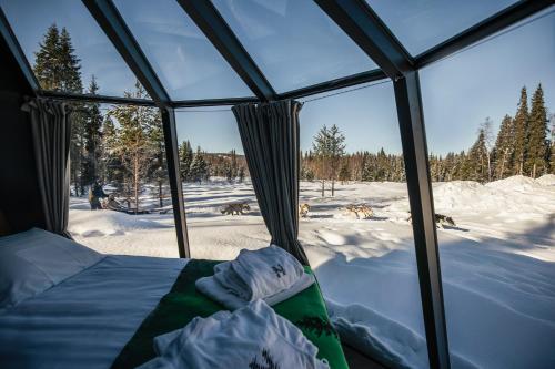 a tent with a bed in the snow at Nova Galaxy Village in Rovaniemi