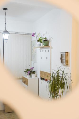 ピロトにあるPetra Guest Houseのギャラリーの写真