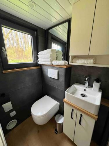 a small bathroom with a toilet and a sink at *NEU* Tiny-House am Humboldtsee in Salzhemmendorf