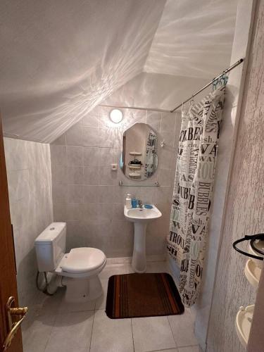 a small bathroom with a toilet and a sink at Роксолана in Truskavets