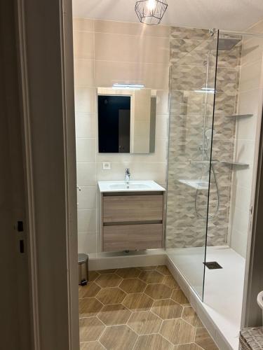 une salle de bain avec douche et lavabo dans l'établissement Appartement une chambre proche centre ville et transports, au Mans