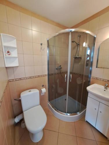 a bathroom with a shower and a toilet and a sink at Noclegi u Kazi in Polańczyk