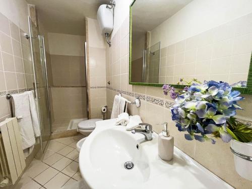 シエナにあるAppartamento Mimosaのバスルーム(洗面台、トイレ、鏡付)