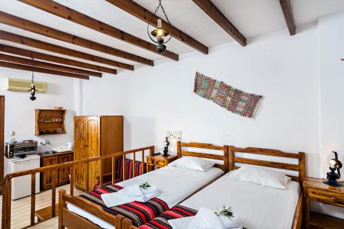 a bedroom with two beds and a kitchen in a room at Matzi Hotel Apartments in Gerani
