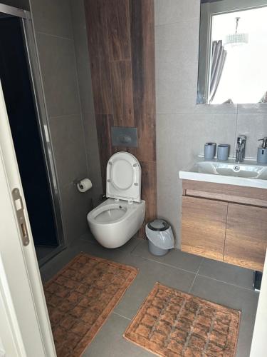a small bathroom with a toilet and a sink at Notherland Premier Famagusta in Famagusta