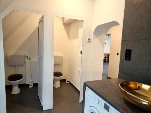 ein Badezimmer mit 2 WCs und einem Waschbecken in der Unterkunft Rentcenter79 in Sankt Peter-Freienstein