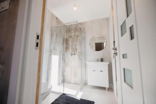 a bathroom with a shower and a toilet and a sink at EDANT HOUSE in Bumbesti Pitic