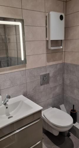 une salle de bain avec un lavabo, des toilettes et un miroir dans l'établissement New jungle studio cœur de ville, à Pont-à-Mousson