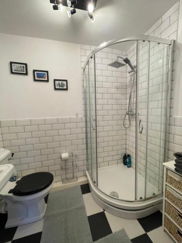 a bathroom with a shower and a toilet at 1 Bed Apartment Oxford - Fits 4 Guests in Oxford