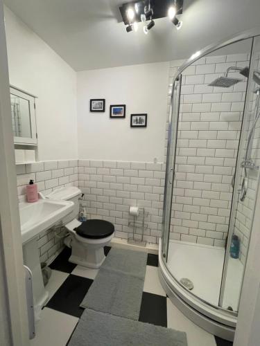 a bathroom with a shower and a toilet and a sink at 1 Bed Apartment Oxford - Fits 4 Guests in Oxford