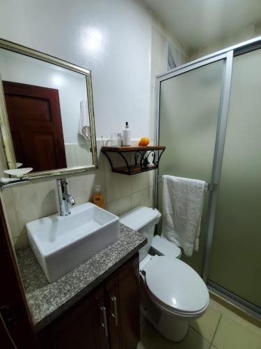 a bathroom with a sink and a toilet and a mirror at SUITE AMOBLADA CERCA DEL MALL DEL RIO in Cuenca