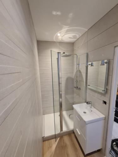 a white bathroom with a shower and a sink at Chez Émilie et John in Saint-Étienne