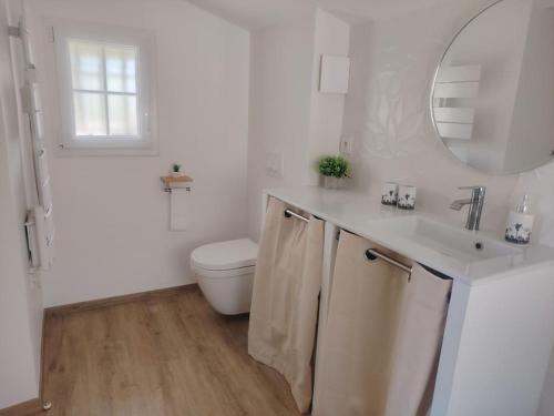 une salle de bain avec toilettes, lavabo et miroir dans l'établissement Domaine des Petites Sœurs à 800m du centre historique avec 5200m2 de parc arboré, à Vence