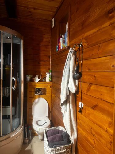 een badkamer met een toilet en houten wanden bij Domek Nowy Lubiel in Lubiel Stary