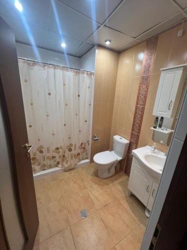 a bathroom with a toilet and a shower and a sink at Opera Guest House in Yerevan