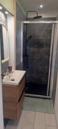 bagno con doccia e lavandino di Chambre climatisée 300 m de la mer a Six-Fours-les-Plages