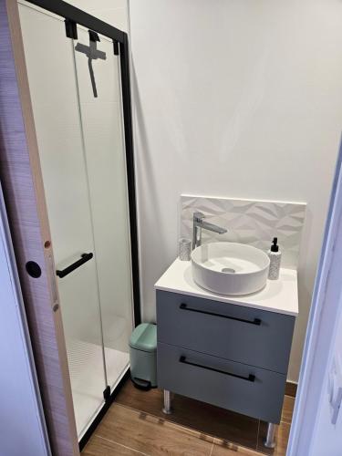 une salle de bain avec un lavabo et une douche dans l'établissement Studio meublé, à Marseillan