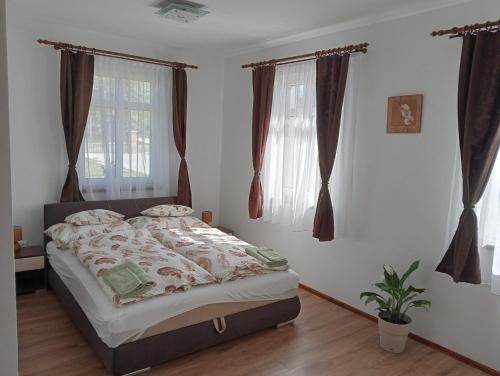 1 dormitorio con 1 cama y 2 ventanas en Vidéki-Báj Vendégház, en Szentgyörgyvölgy