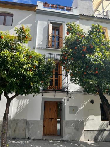 una casa blanca con un naranjo delante de ella en San Fernando 33, en Córdoba
