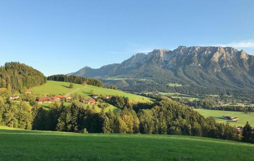 a green field with a mountain in the background at Open Garden Mountain Lodge in Oberaudorf