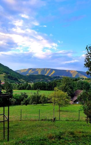 a fence in a field with a mountain in the background at Sole Tiny House in Šipovo
