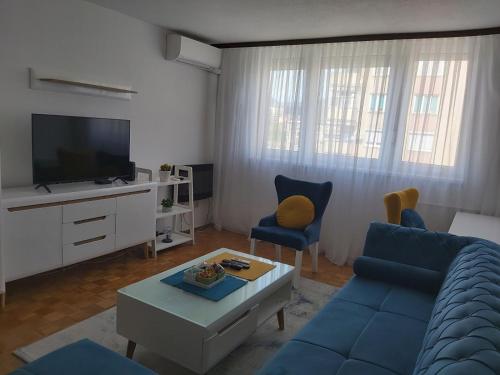 TV a/nebo společenská místnost v ubytování Apartman Zenica
