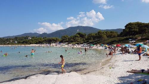 Gallery image of Family Villas in Vourvourou