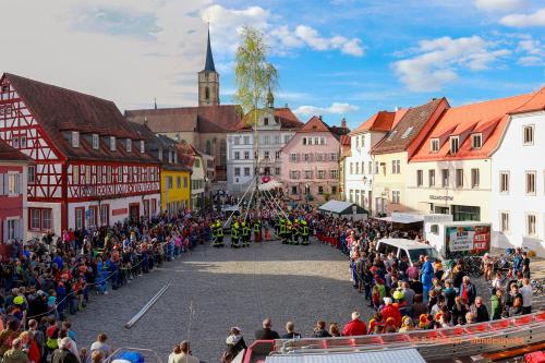 a crowd of people watching a parade in a town at Neu - Wenkheimer Hof Scheunen-Loft in Iphofen