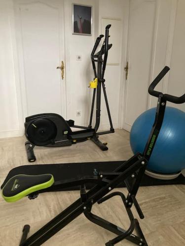 - une salle de sport avec un ballon de fitness et un tapis de course dans l'établissement Maison d'artistes avec vue panoramique sur la baie, à Toulon