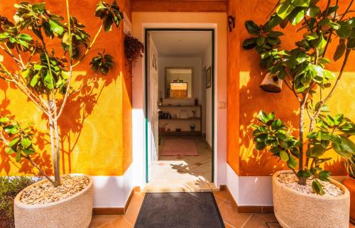 a hallway with two potted trees in a room at Casas Novas Guesthouse - Adults Only in Lagos