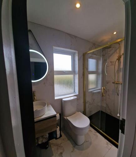 a bathroom with a toilet and a sink and a window at The Holiday House - Portstewart in Portstewart