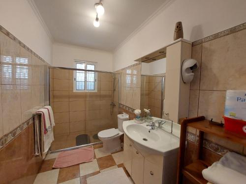 Un baño con lavabo, inodoro y ducha. en Madeira Island Villa Oceane Ribeira Brava, en Ribeira Brava