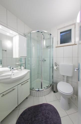 a bathroom with a shower and a toilet and a sink at Villa FANI KANUN in Bol