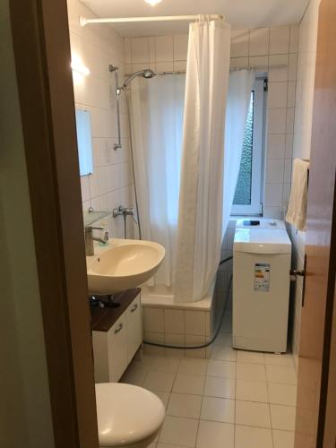 y baño con lavabo, ducha y aseo. en Apartment in handball city, Handewitt, en Handewitt