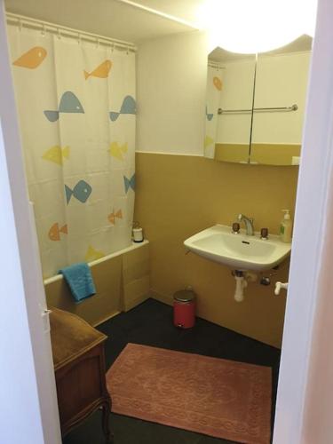 y baño pequeño con lavabo y ducha. en L'appart - Couvet, en Couvet