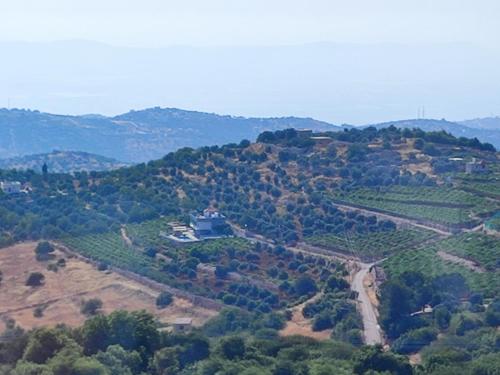 Fotografie z fotogalerie ubytování Chalets in the middle of Ajloun forests شاليه و مزرعة في وسط غابات عجلون v destinaci Ajloun
