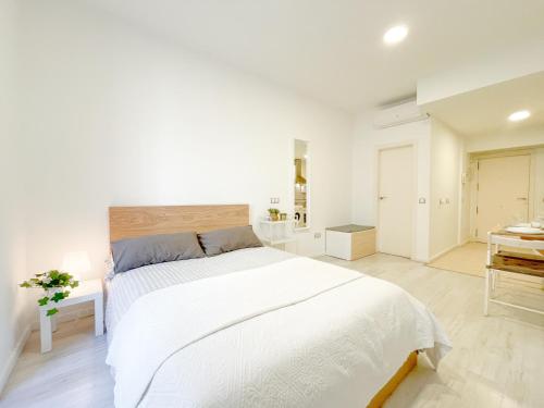 Estudio Malaga centro 2