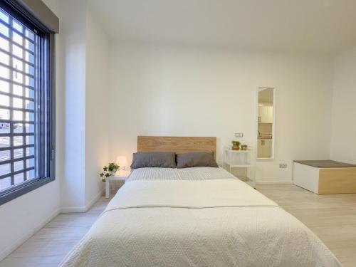 Estudio Malaga centro 2